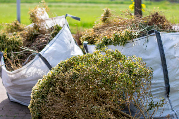 Shed Removal in Flagstaff, AZ